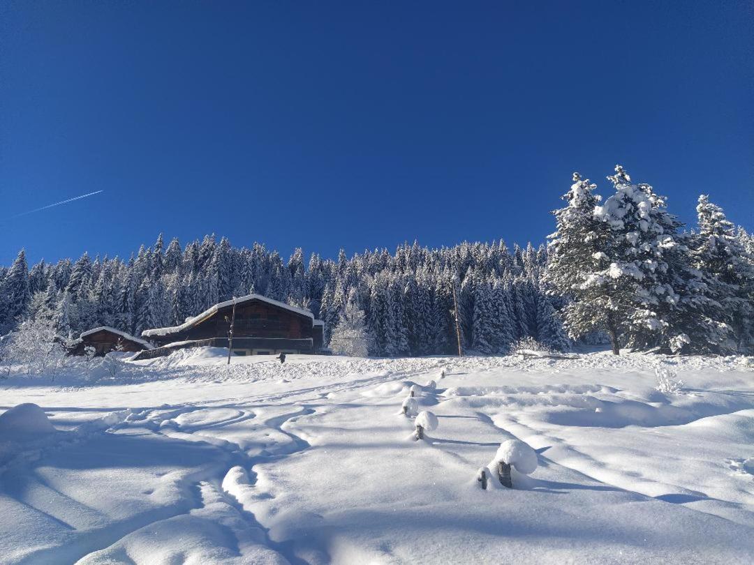 Chalet Lisa B&B Morzine Exterior foto